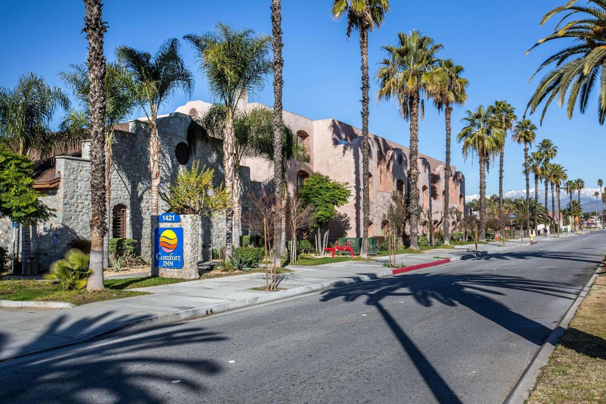 Comfort Inn Pomona Near Fairplex Εξωτερικό φωτογραφία